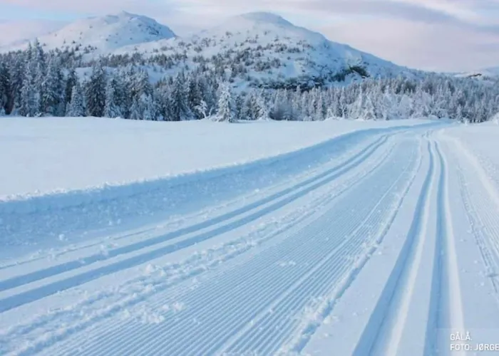 Traditional Timber Farm With Sauna & Wi-fi Feriehus Baukal